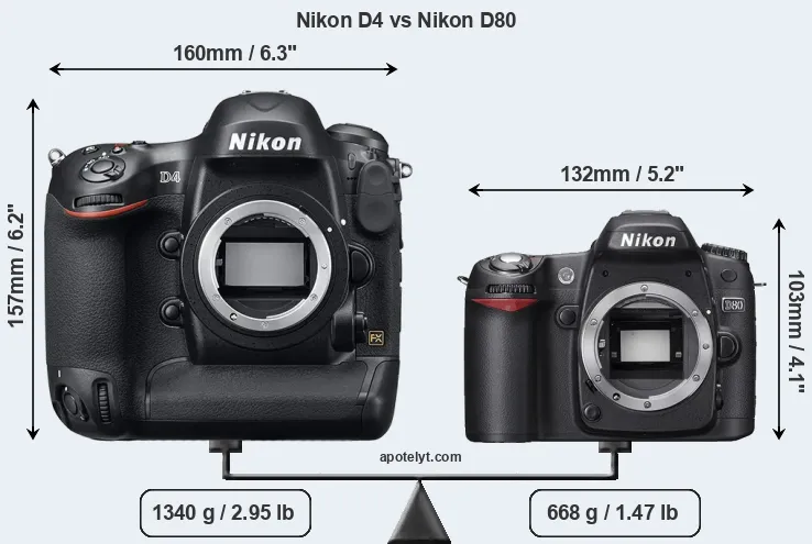 Size Nikon D4 vs Nikon D80