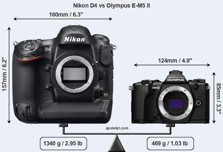 Size Nikon D4 vs Olympus E-M5 II