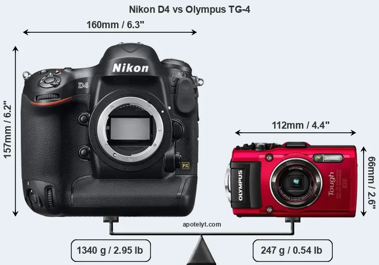 Size Nikon D4 vs Olympus TG-4