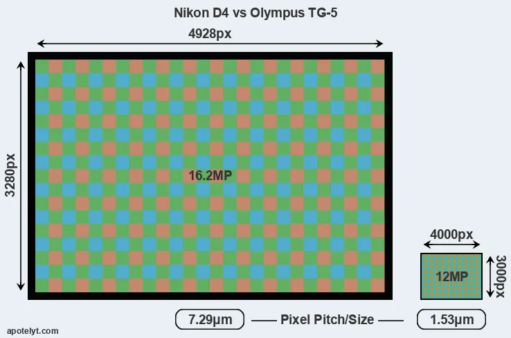 D4 versus TG-5 MP