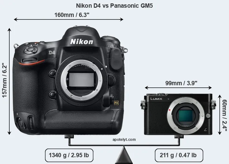 Size Nikon D4 vs Panasonic GM5