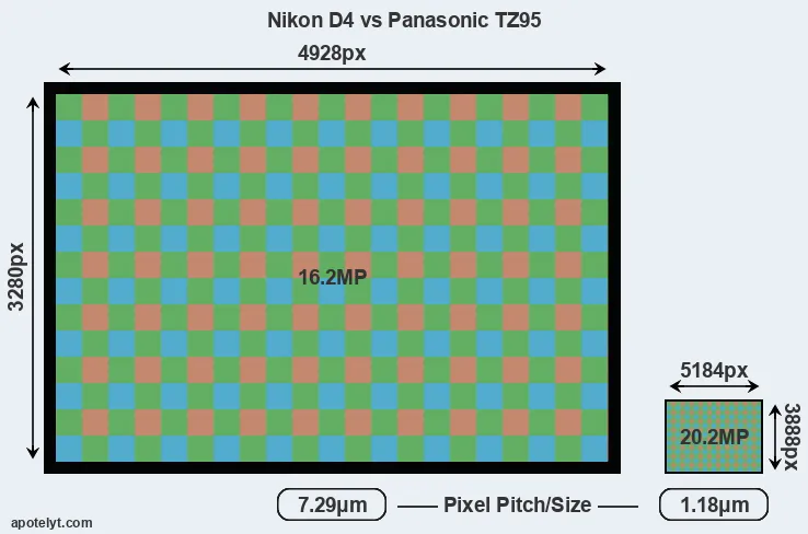 D4 versus TZ95 MP