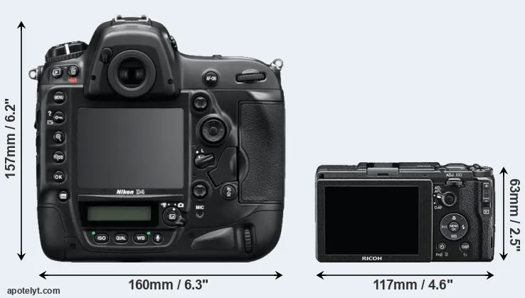 Comparison D4 or GR II rear