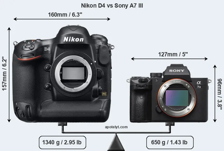 Size Nikon D4 vs Sony A7 III