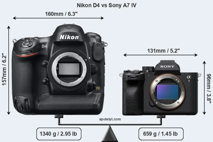 Size Nikon D4 vs Sony A7 IV