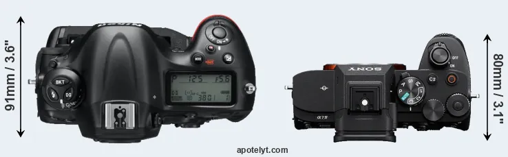 Compare D4 versus A7 IV top