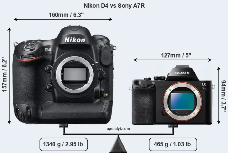 Size Nikon D4 vs Sony A7R