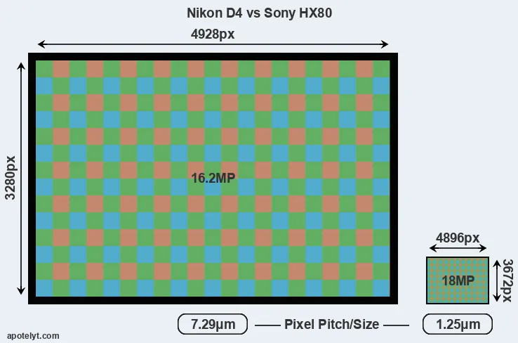 D4 versus HX80 MP