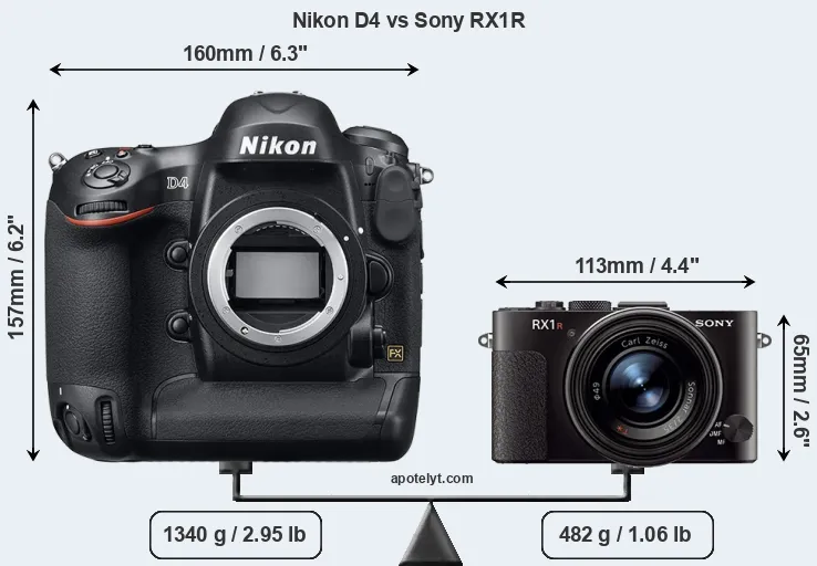 Size Nikon D4 vs Sony RX1R