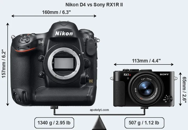 Size Nikon D4 vs Sony RX1R II