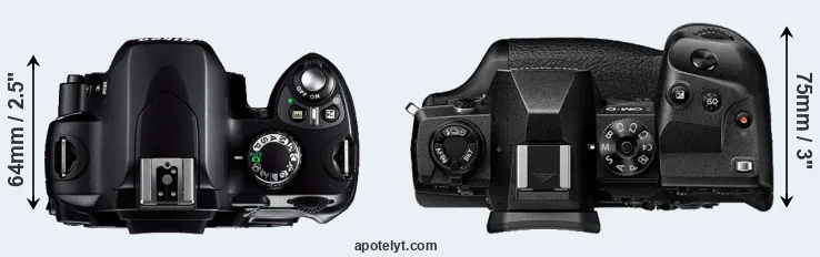 Compare D40 versus E-M1X top