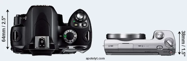 Compare D40 versus NEX-5 top