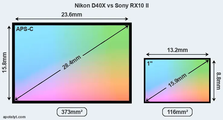 Nikon D40X and Sony RX10 II sensor measures