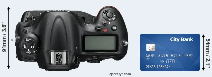 D4S versus credit card top view