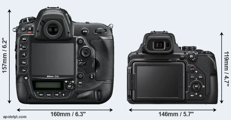 Comparison D4S or P1000 rear