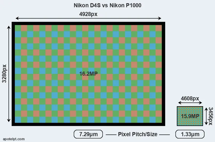 D4S versus P1000 MP