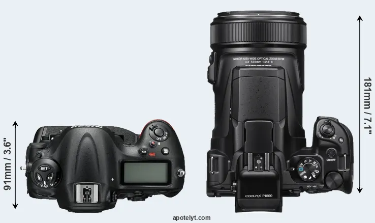 Compare D4S versus P1000 top
