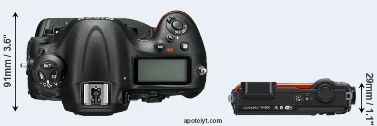 Compare D4S versus W300 top