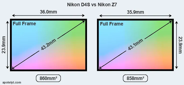 Nikon D4S and Nikon Z7 sensor measures