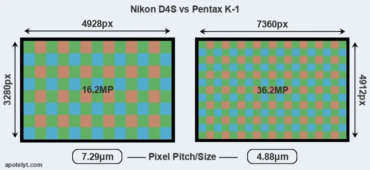 D4S versus K-1 MP