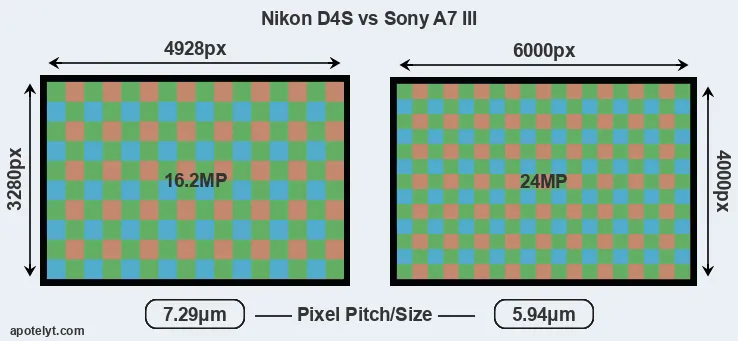 D4S versus A7 III MP