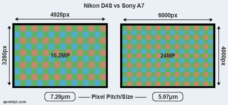 D4S versus A7 MP