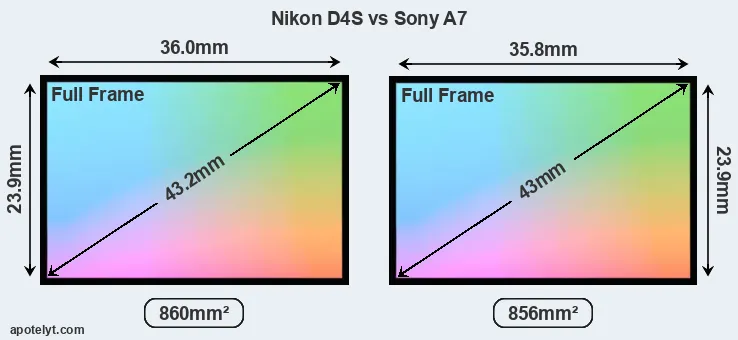 Nikon D4S and Sony A7 sensor measures