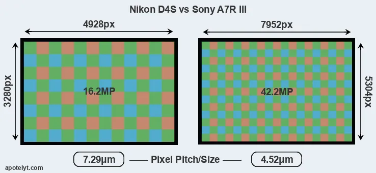 D4S versus A7R III MP