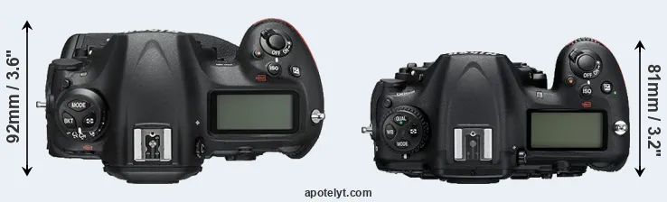Compare D5 versus D500 top