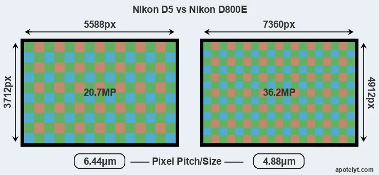 D5 versus D800E MP