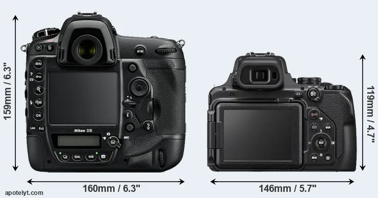 Comparison D5 or P1000 rear