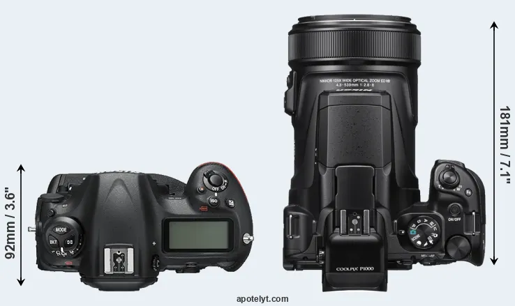Compare D5 versus P1000 top