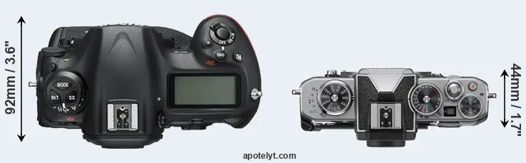 Compare D5 versus Z fc top