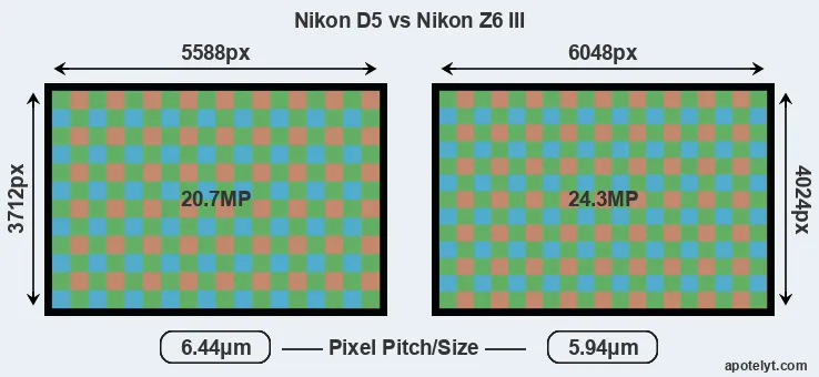 D5 versus Z6 III MP
