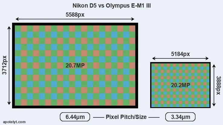D5 versus E-M1 III MP