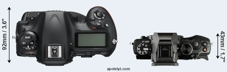 Compare D5 versus E-M5 top