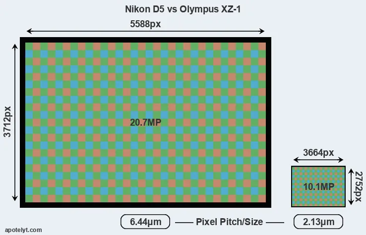 D5 versus XZ-1 MP