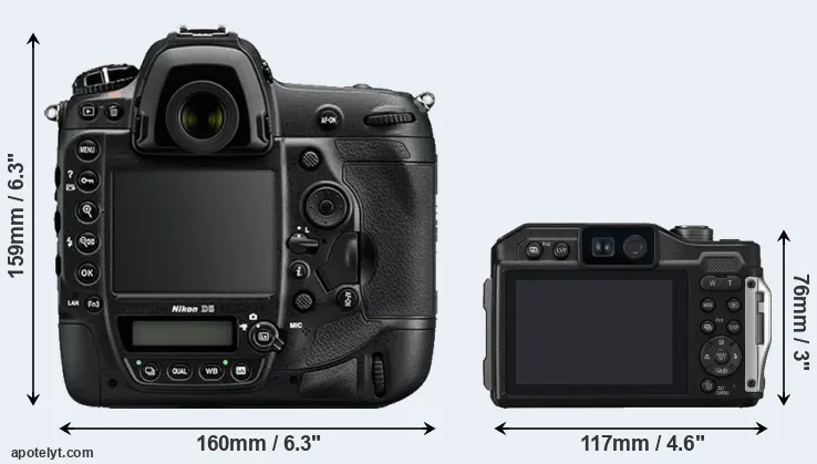 Comparison D5 or FT7 rear