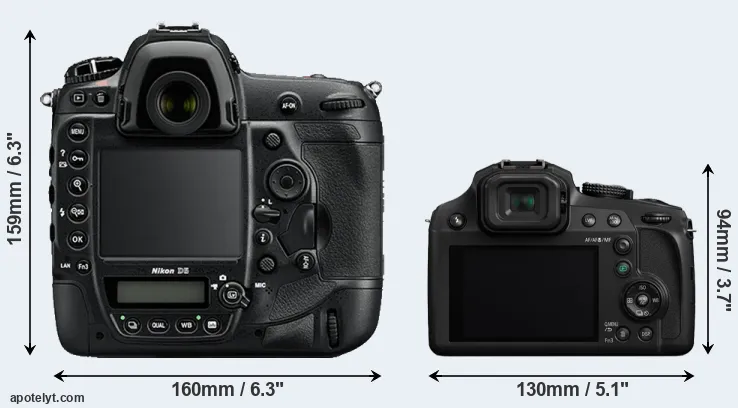 Comparison D5 or FZ80 rear