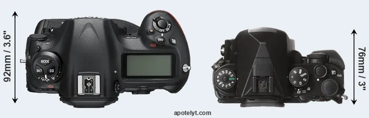 Compare D5 versus KP top