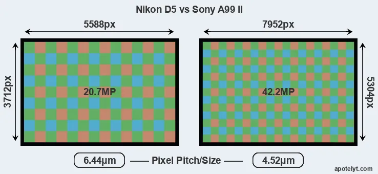D5 versus A99 II MP