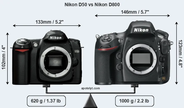 Size Nikon D50 vs Nikon D800