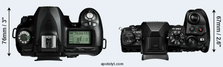 Compare D50 versus E-M1 II top