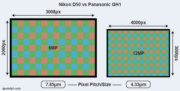 D50 versus GH1 MP
