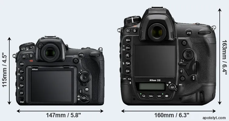 Comparison D500 or D6 rear