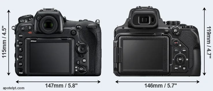 Comparison D500 or P1000 rear