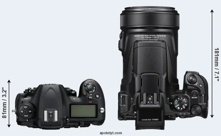 Compare D500 versus P1000 top
