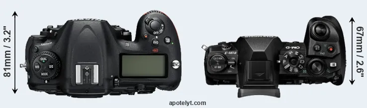 Compare D500 versus E-M1 II top