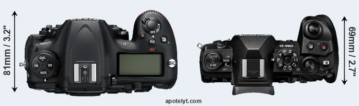Compare D500 versus E-M1 III top