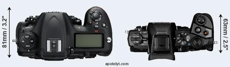 Compare D500 versus E-M1 top